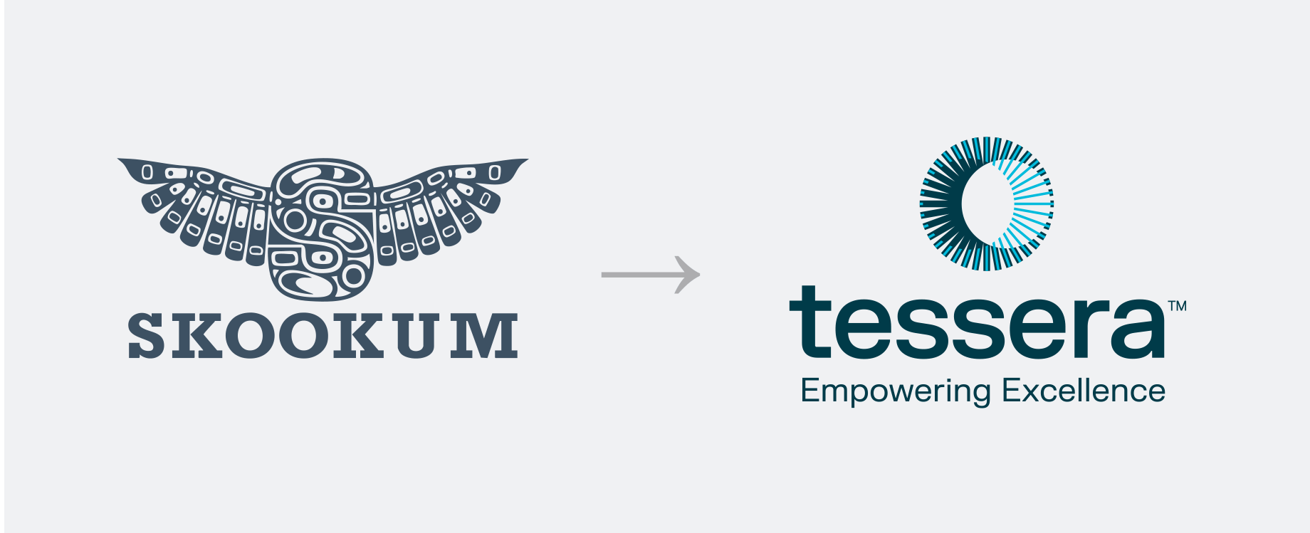 Skookum logo and Tessera logos